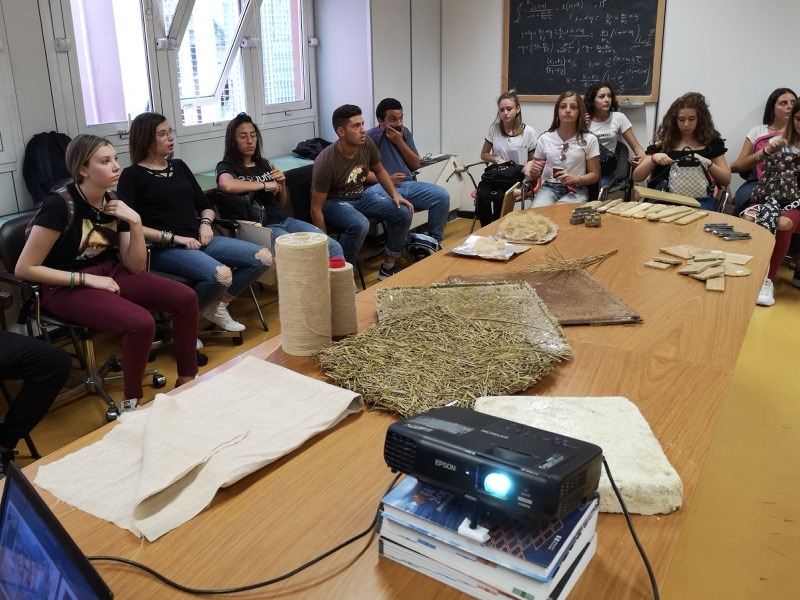 Unical: “La ginestra: l’Oro della macchia mediterranea”